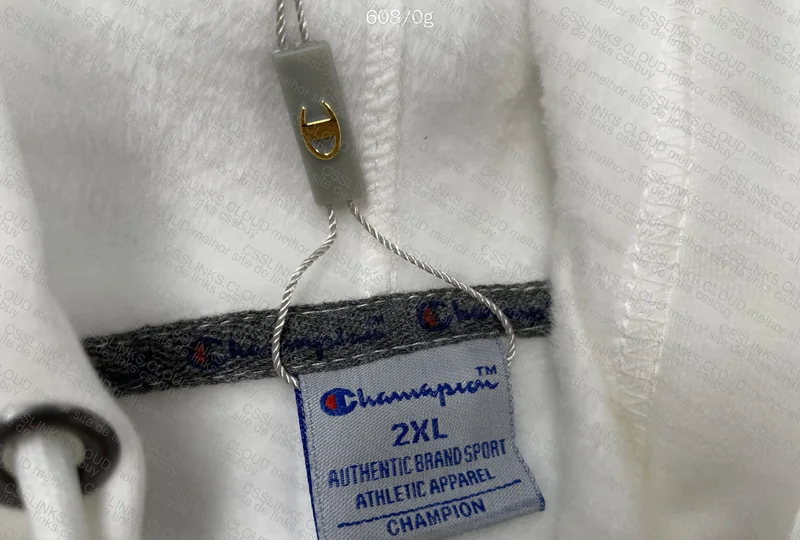 Champion Hoodie 4