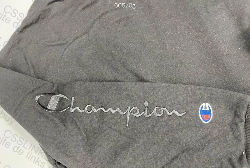 Champion Crewneck Sweatshirt 5