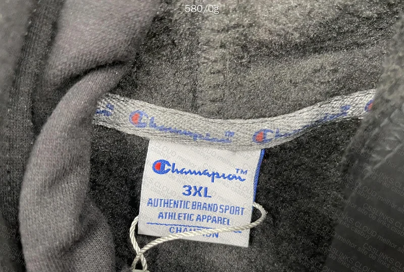 Champion Hoodie 2