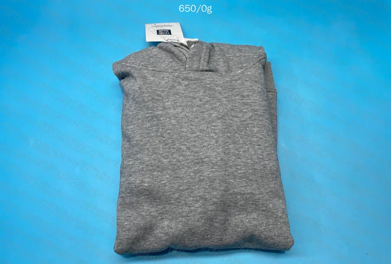 Champion Hoodie 2