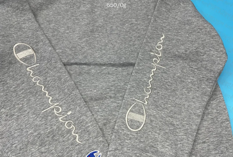 Champion Hoodie 6