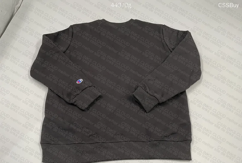 Champion Hoodie Help 2