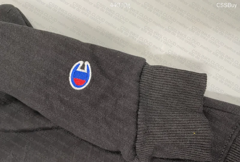 Champion Hoodie Help 3