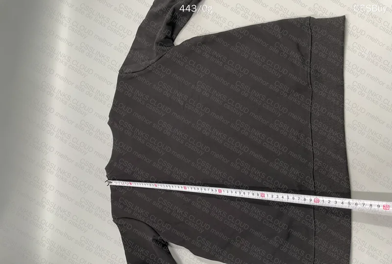 Champion Hoodie Help 4