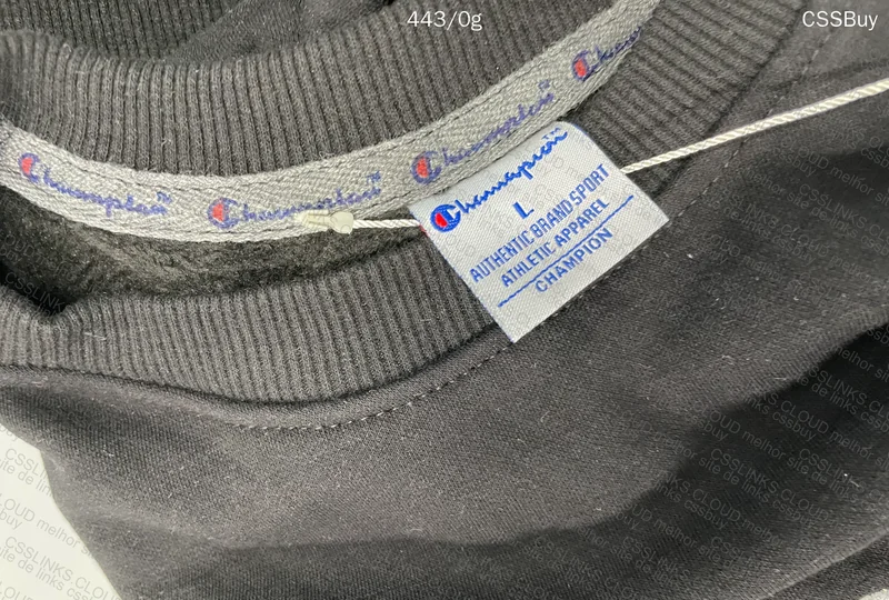 Champion Hoodie Help 5