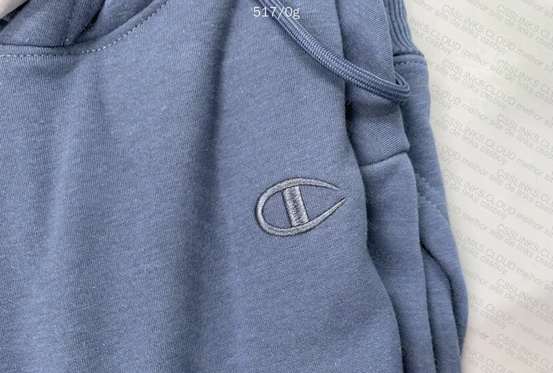 Blue Champion Hoodie 2