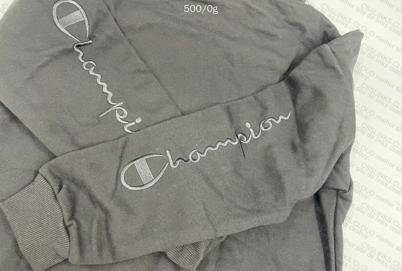 Champion Hoodie, Good and Affordable 6