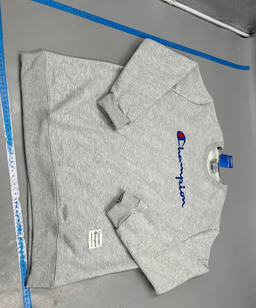 Champion Gray Hoodie