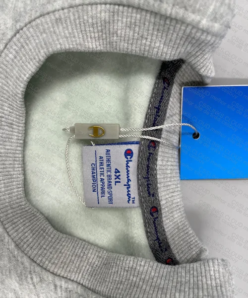 Champion Gray Hoodie 4