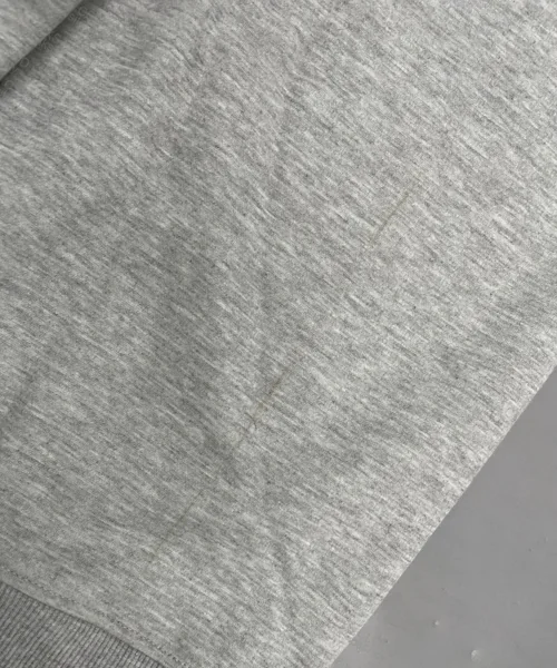 Champion Gray Hoodie 6