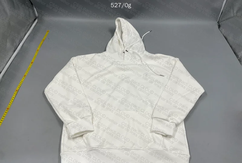 Champion Hoodie 2