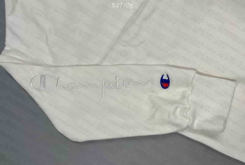 Champion Hoodie 4