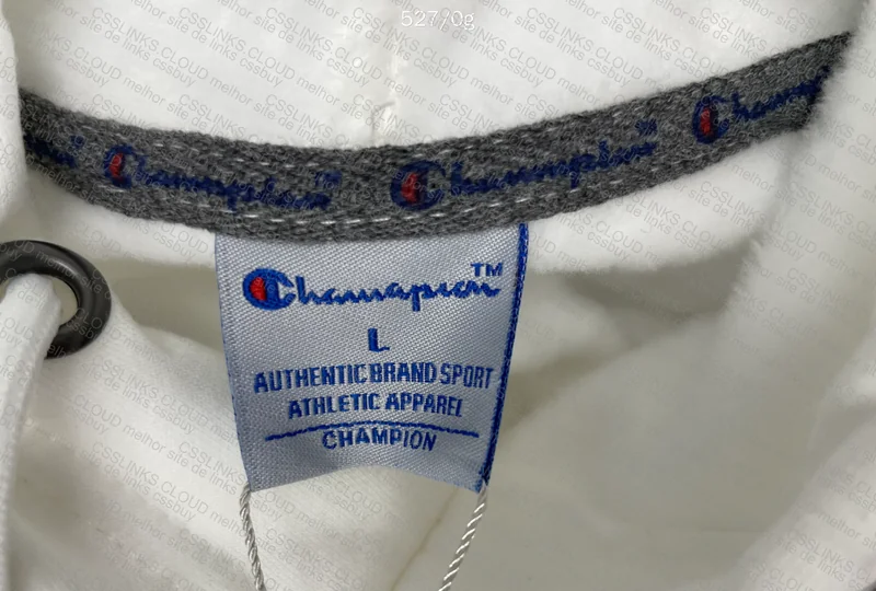 Champion Hoodie 6