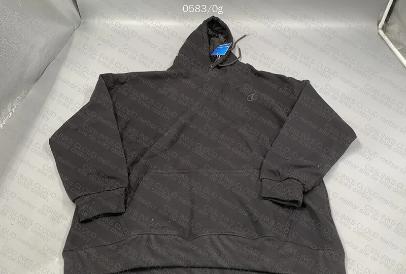 Champion Hoodie (with measurements)
