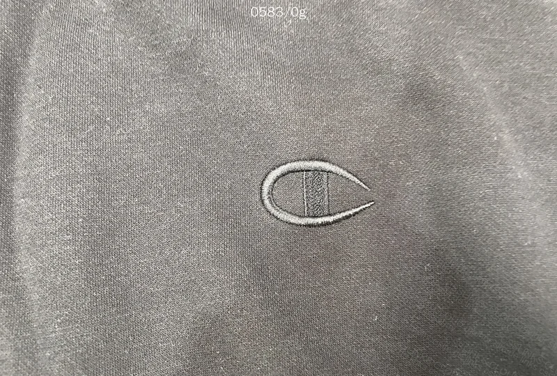 Champion Hoodie (with measurements) 2