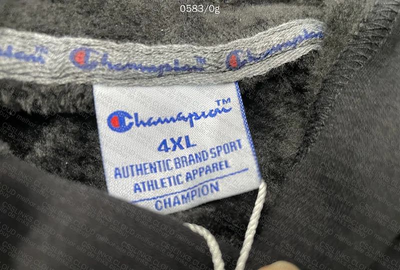 Champion Hoodie (with measurements) 4
