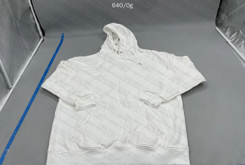 Champion Hoodie (with measurements)
