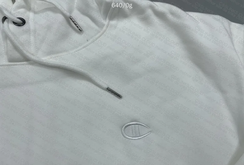 Champion Hoodie (with measurements) 2