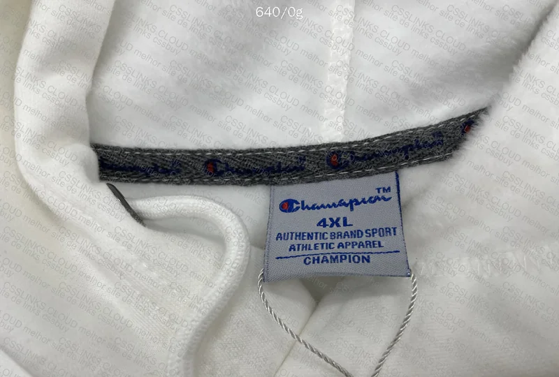 Champion Hoodie (with measurements) 3
