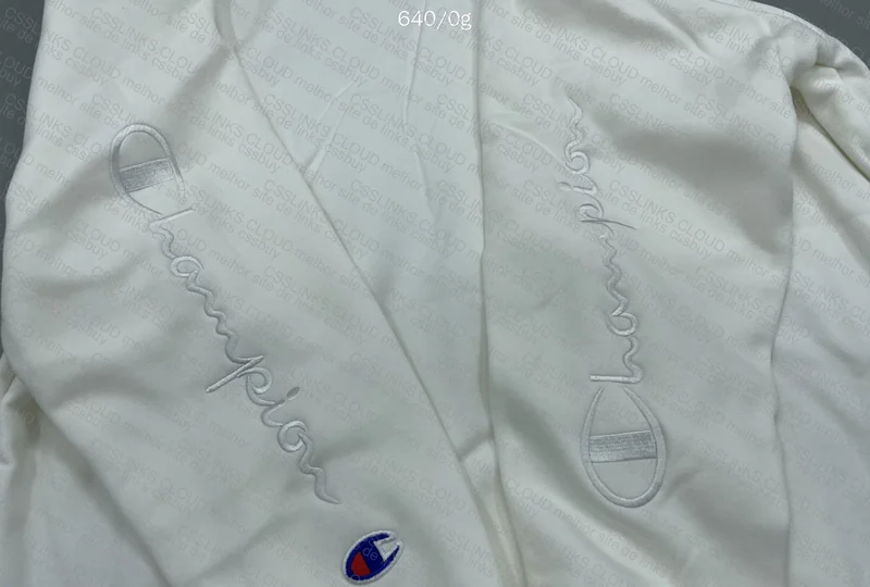 Champion Hoodie (with measurements) 4