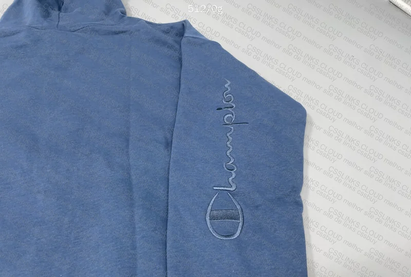 Champion Hoodie (sent wrong) 2