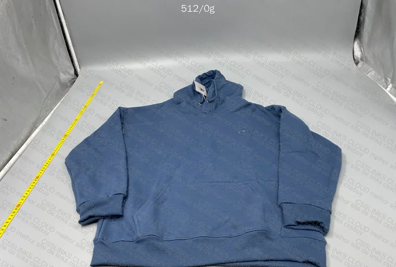 Champion Hoodie (sent wrong) 4