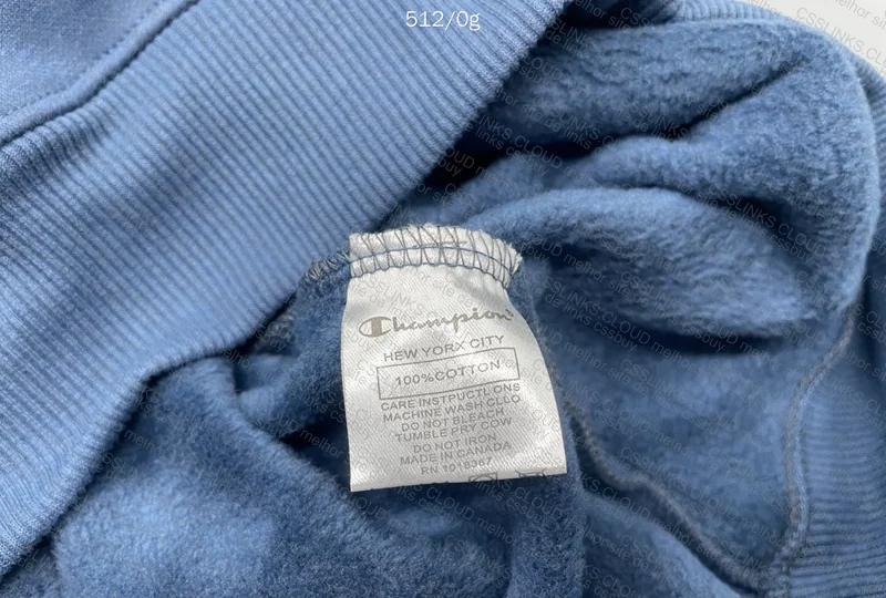 Champion Hoodie (sent wrong) 5
