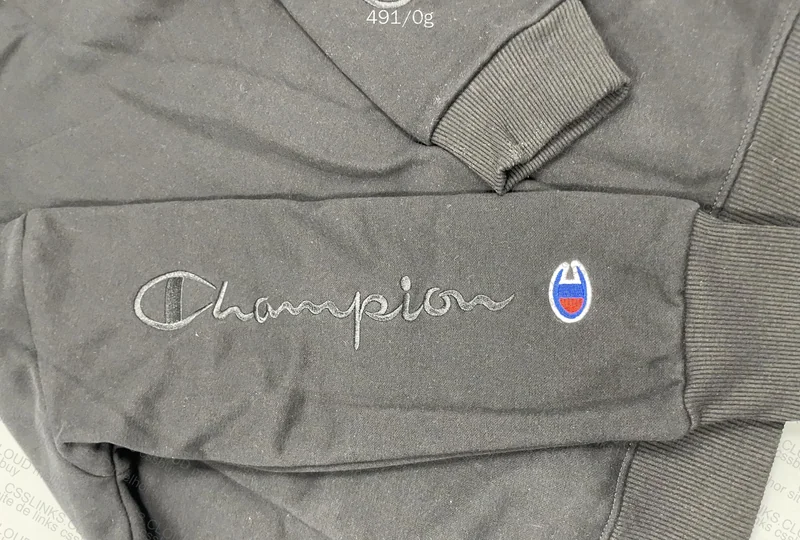 Champion Hoodie GL? 6