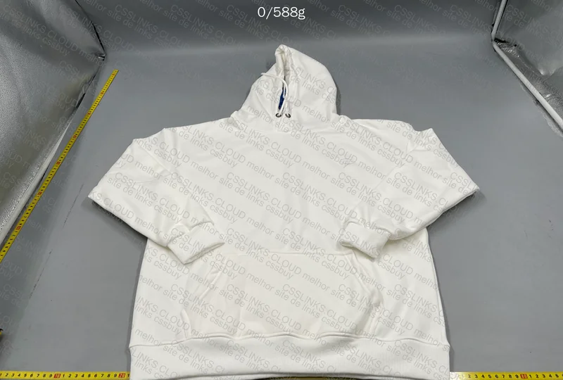 Champion Hoodie (GL?)