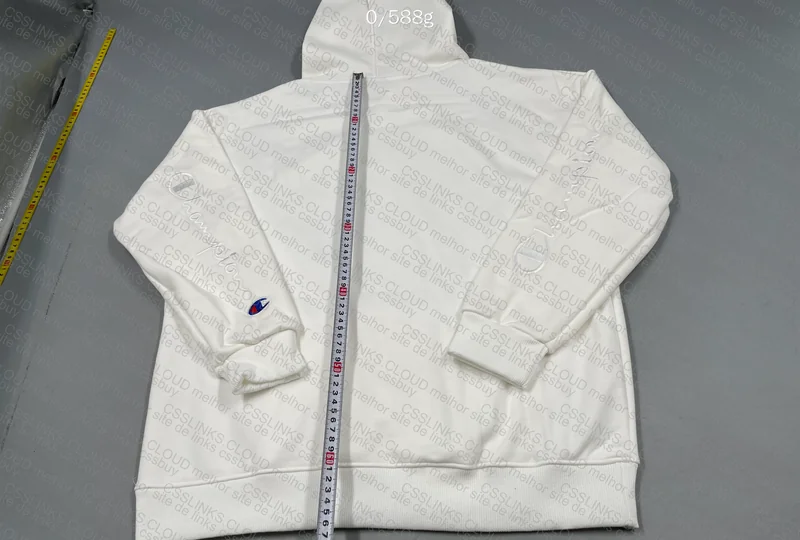 Champion Hoodie (GL?) 2