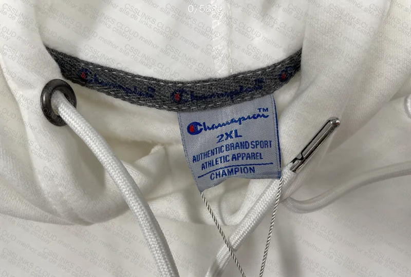 Champion Hoodie (GL?) 3