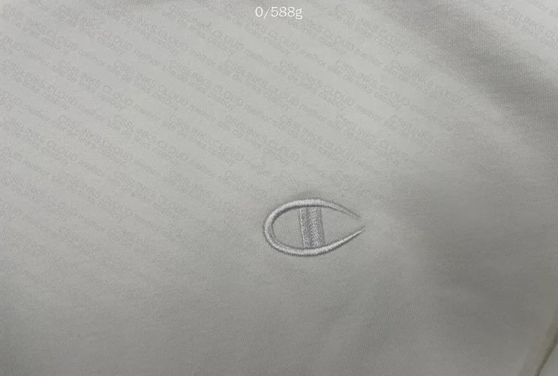 Champion Hoodie (GL?) 4
