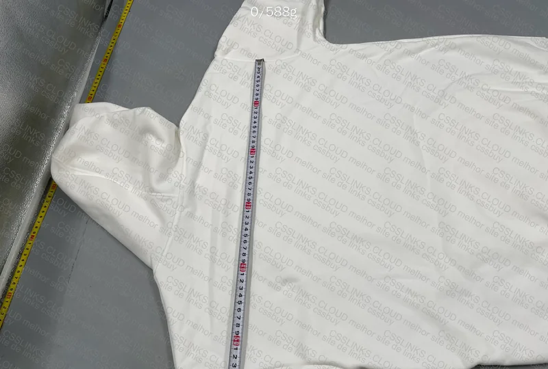 Champion Hoodie (GL?) 5