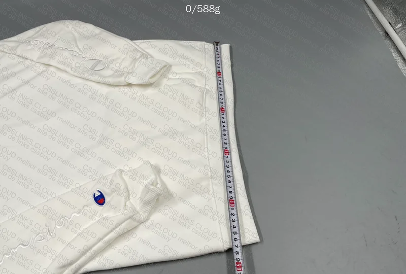 Champion Hoodie (GL?) 6