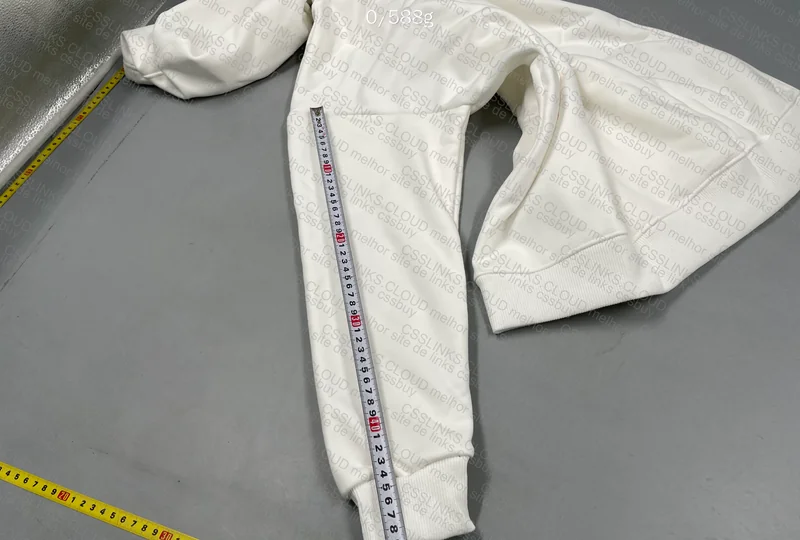 Champion Hoodie (GL?) 7