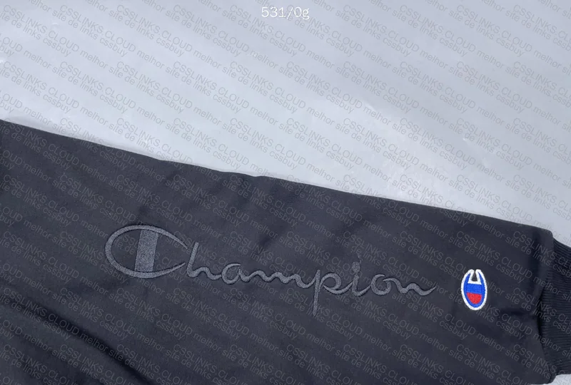 Champion Hoodie at a Good Price 2