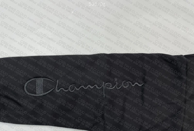Champion Hoodie at a Good Price 3