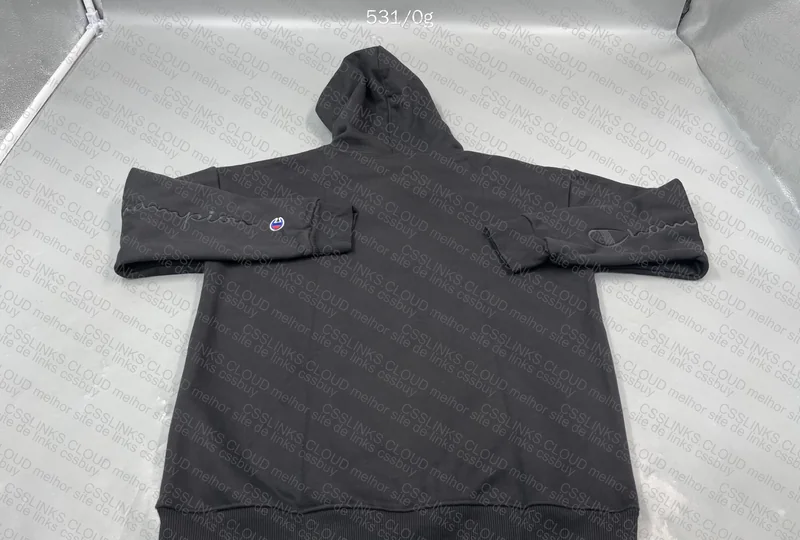Champion Hoodie at a Good Price 4