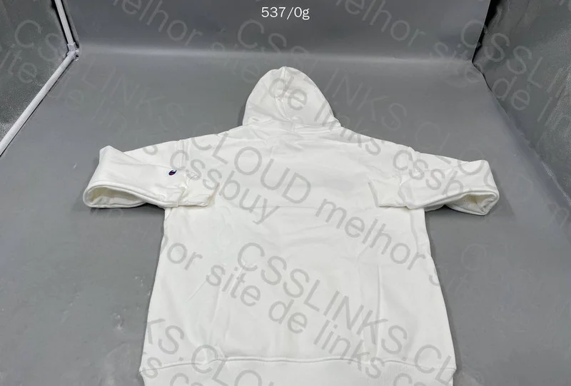 Champion Hoodie at a Good Price 2