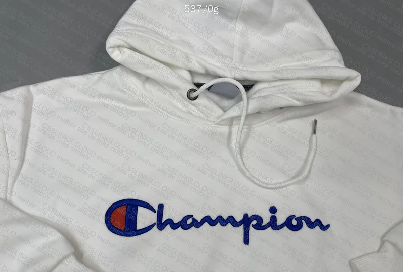 Champion Hoodie at a Good Price 3