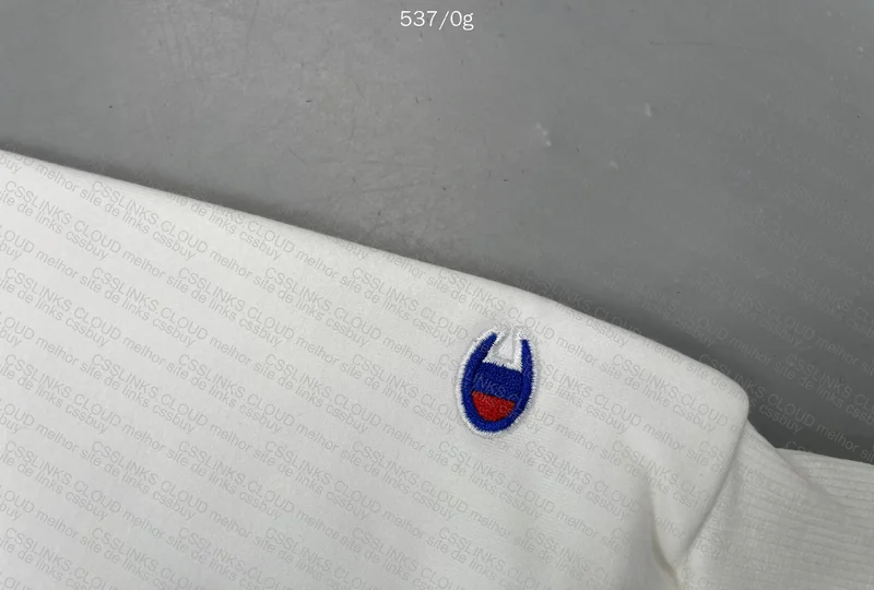 Champion Hoodie at a Good Price 4