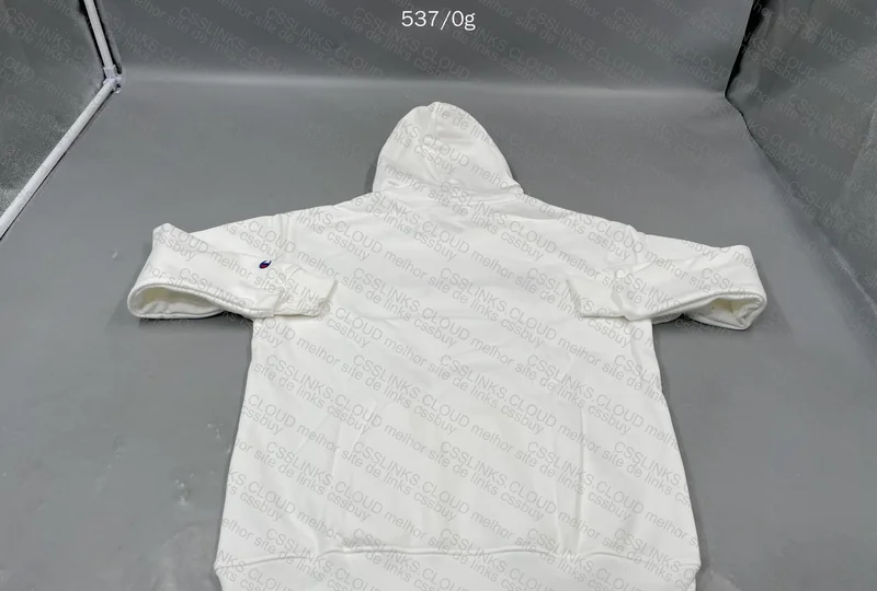 Champion Hoodie at a Good Price 5