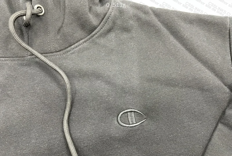 Champion Reverse Weave Hoodie 2