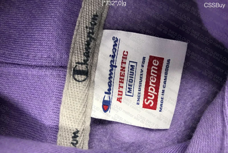 Champion x Supreme Hoodie 3