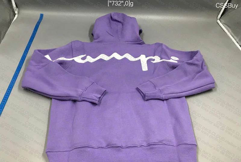 Champion x Supreme Hoodie 4