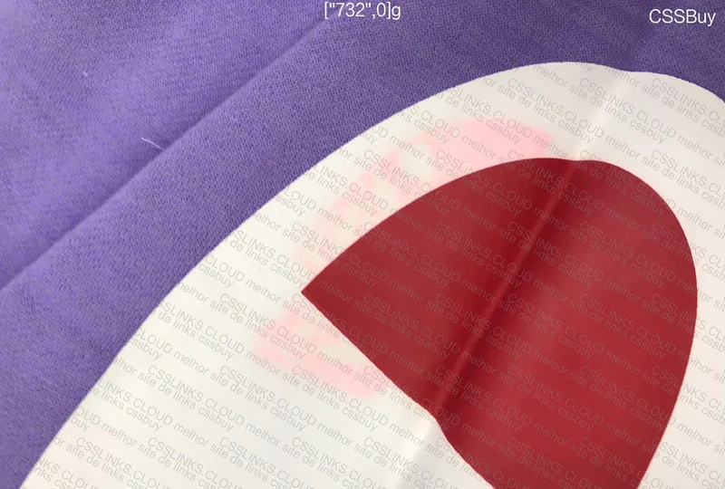 Champion x Supreme Hoodie 6