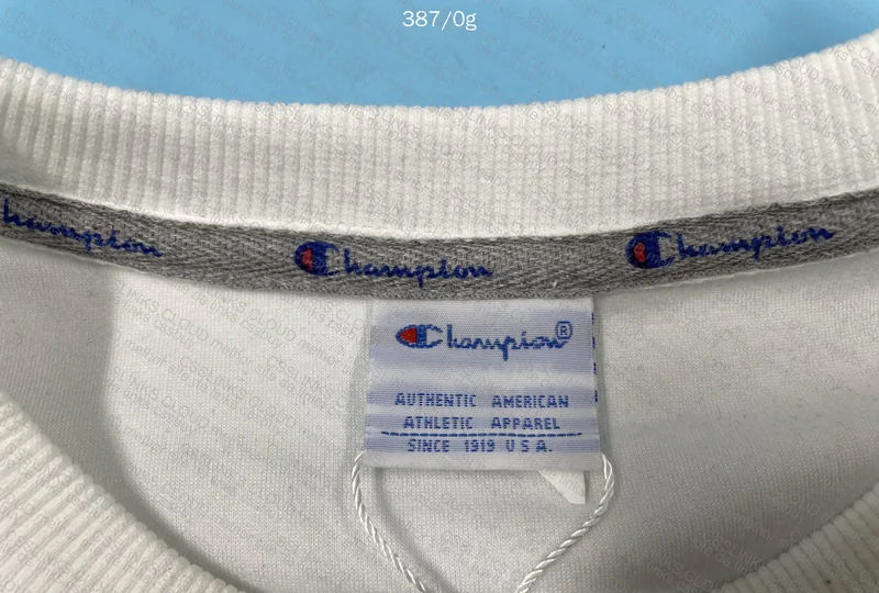Champion Xianyu 36yuans Hoodie 3