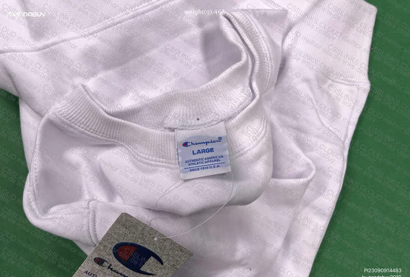 Champions Hoodie