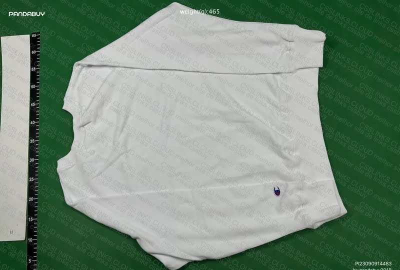 Champions Hoodie 2