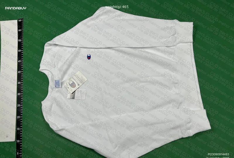 Champions Hoodie 3